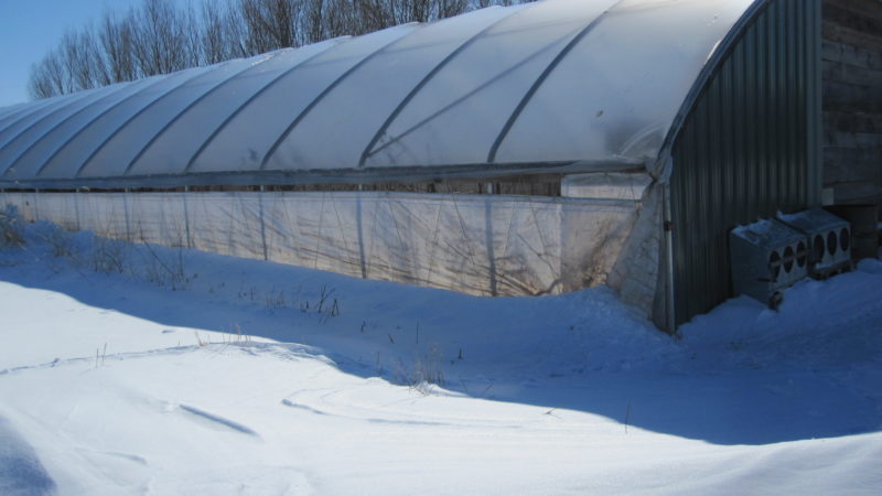 high tunnel in winter